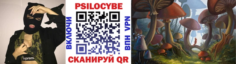 площадка какой сайт  Няндома  Псилоцибиновые грибы Psilocybe 